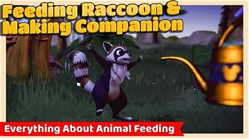 Disney Dreamlight Valley: What Is Raccoons? | How to Feed Raccoons?