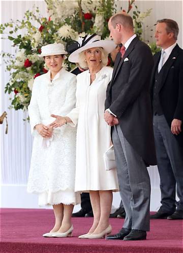 The Royal Divide: Queen Camilla and Prince Harry's Strained Relationship