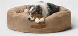 The Ultimate Dog Bed for Your Beloved Bulldog: Comfort and Style